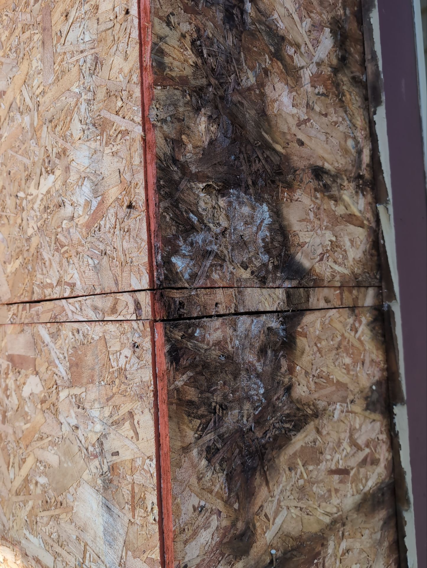Bye Bye Cedar Siding ! Hello Misty Shadow!  by Gellings Roofing & Siding