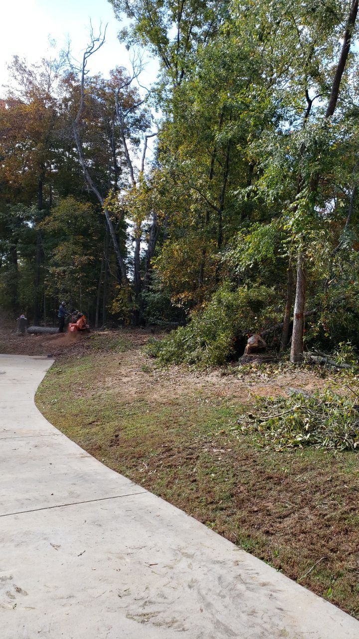 land clearing using machinery by Power Wash Masters LLC