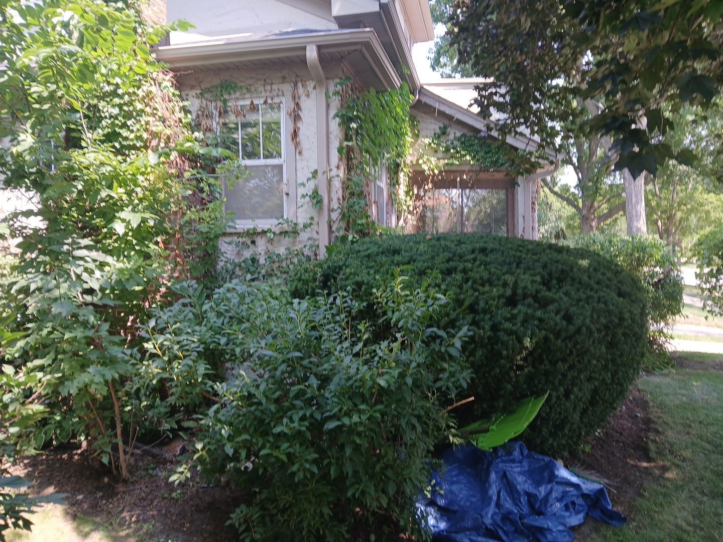 Suzanne V. - Mount Prospect, IL by A&N 