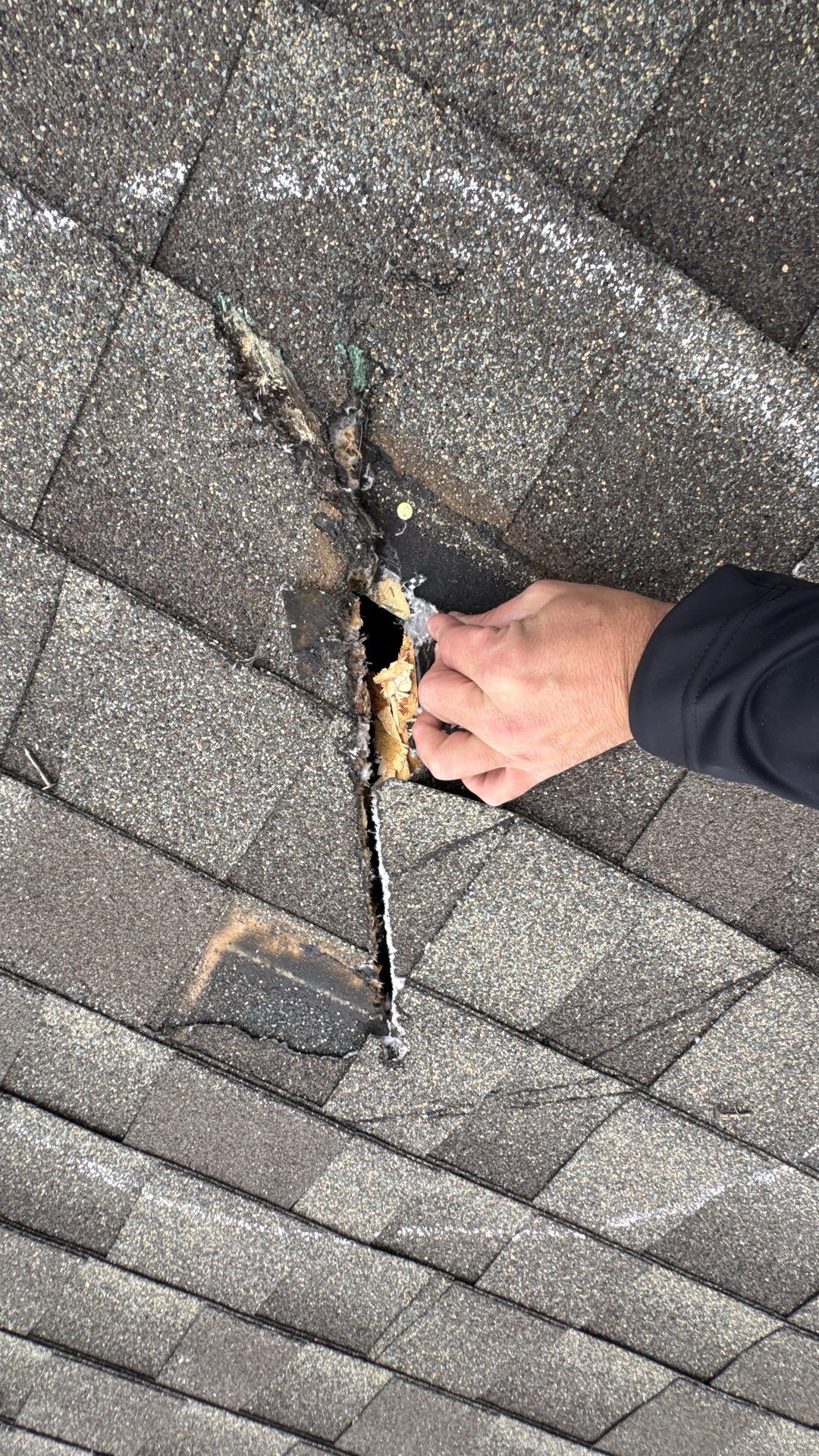 Architectural Shingle Roofing Installation and Decking Replacement in Piedmont by Weather-Tite Exteriors LLC