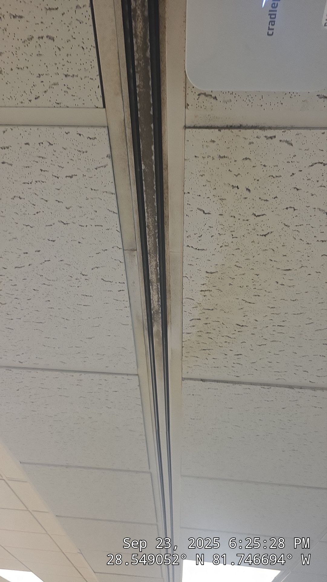 Commercial Air Duct Cleaning in Clermont by Hygienic Air, Inc