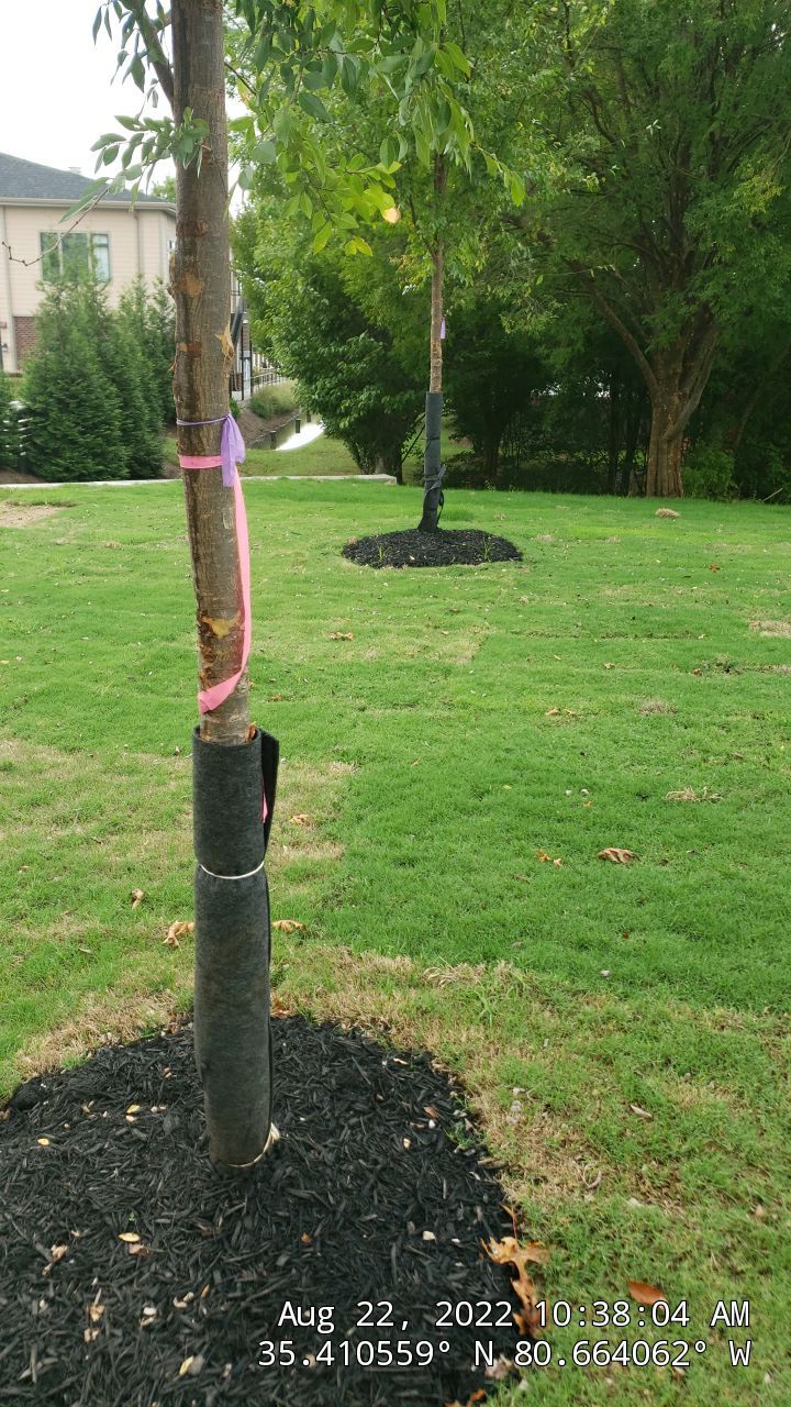 Commercial Landscaping Harris Teeter Fuel Station by Carolina-Metro Landscape, Inc