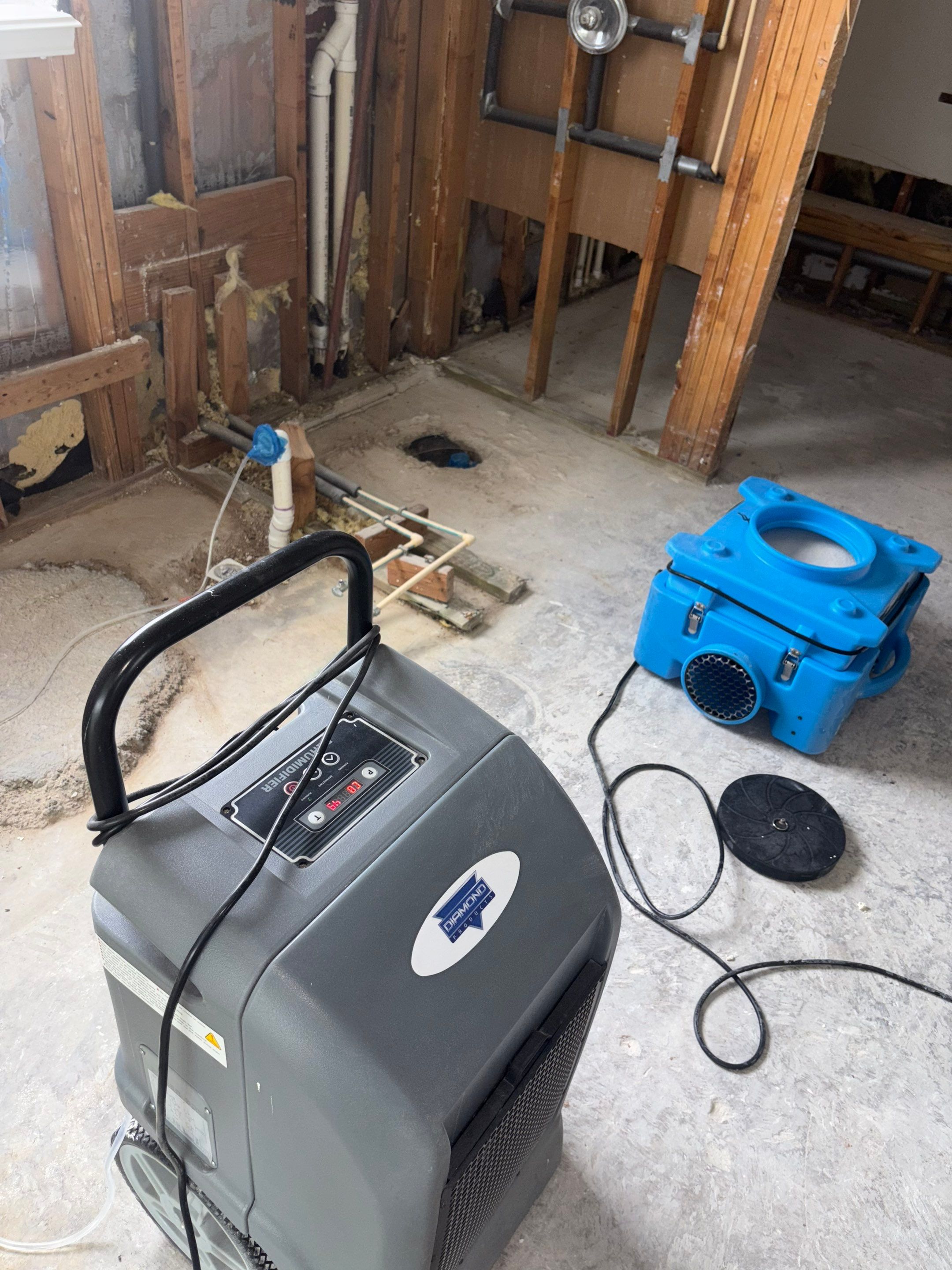 Mold Remediation Job in Cypress by Team Home Solutions