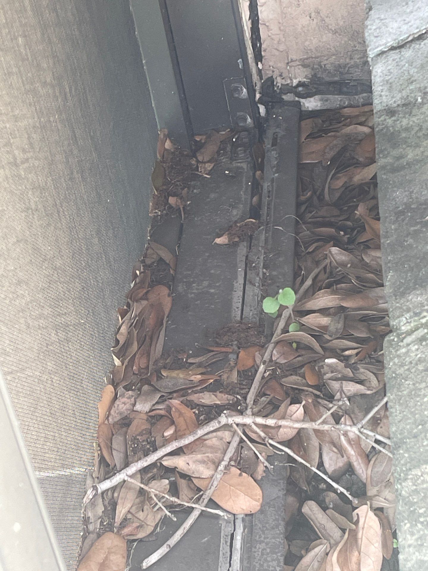 Gutter Cleaning Service in Parrish FL by Gutter Professors