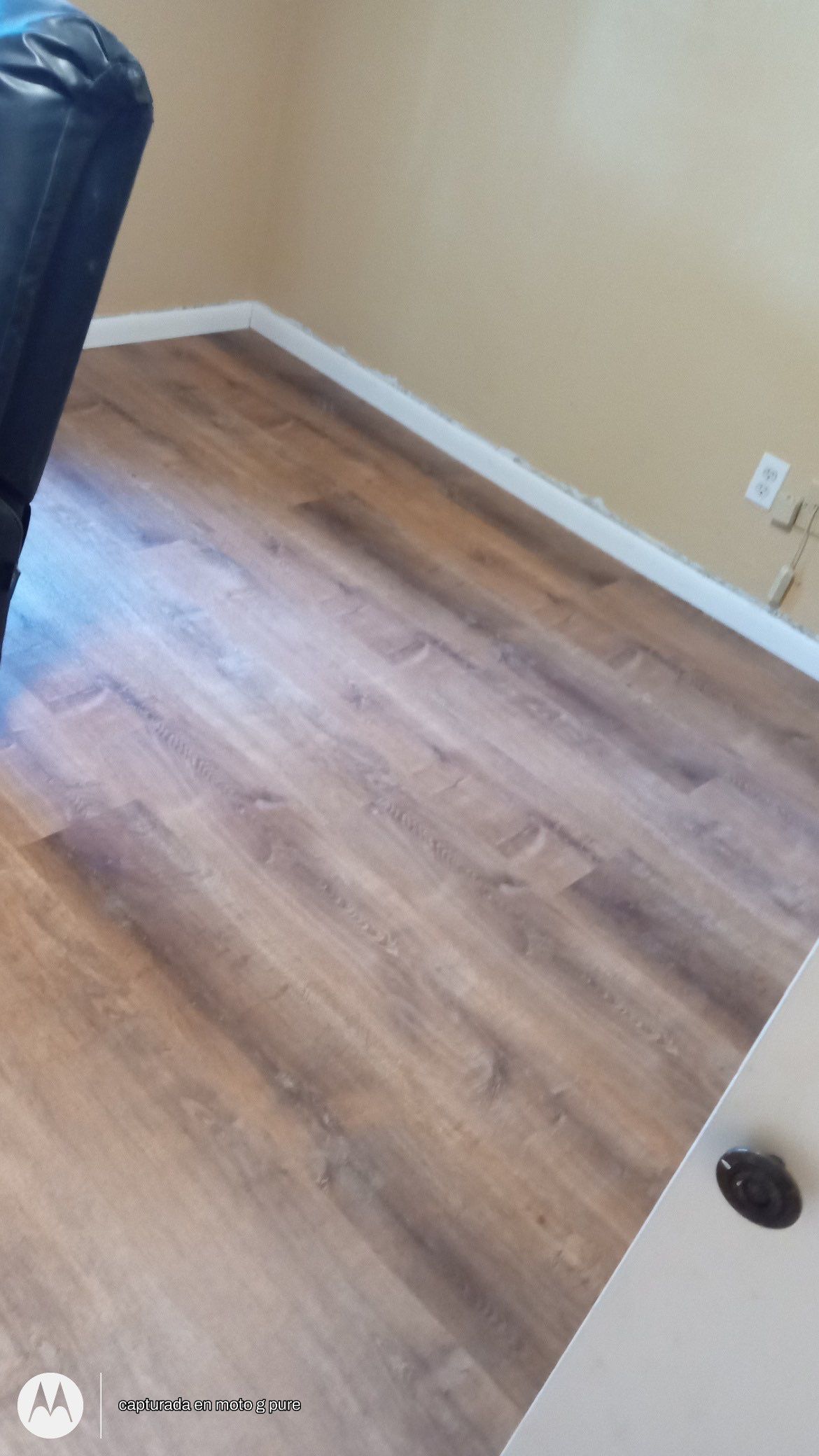 From Carpet to Pet Friendly Master BR by Bernard Hardwood Floors
