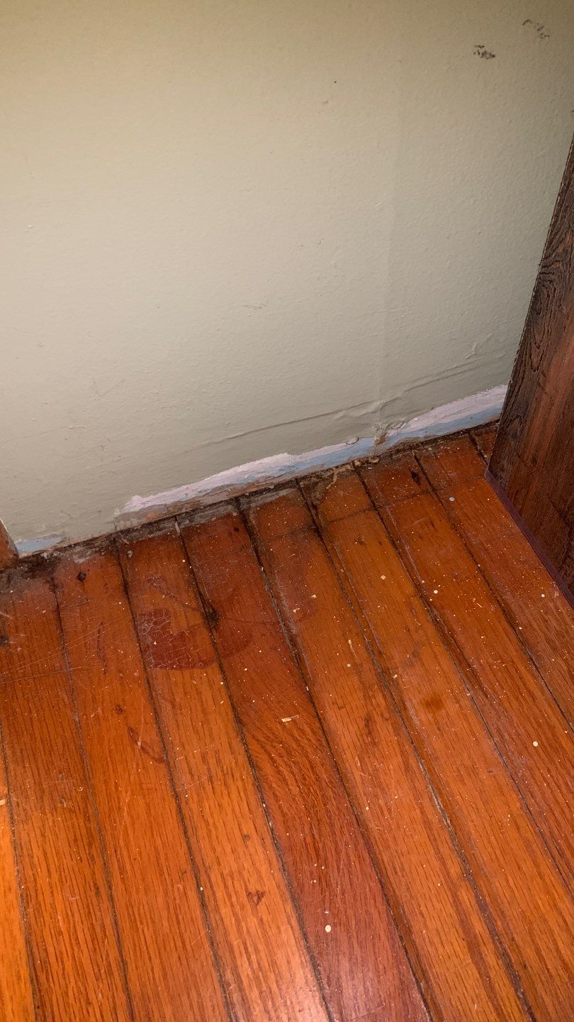 Toilet Overflow by Chicagoland Water Medics