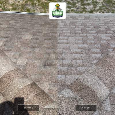 Professional Roof Cleaning and Shingle Treatment in Ocoee, Florida