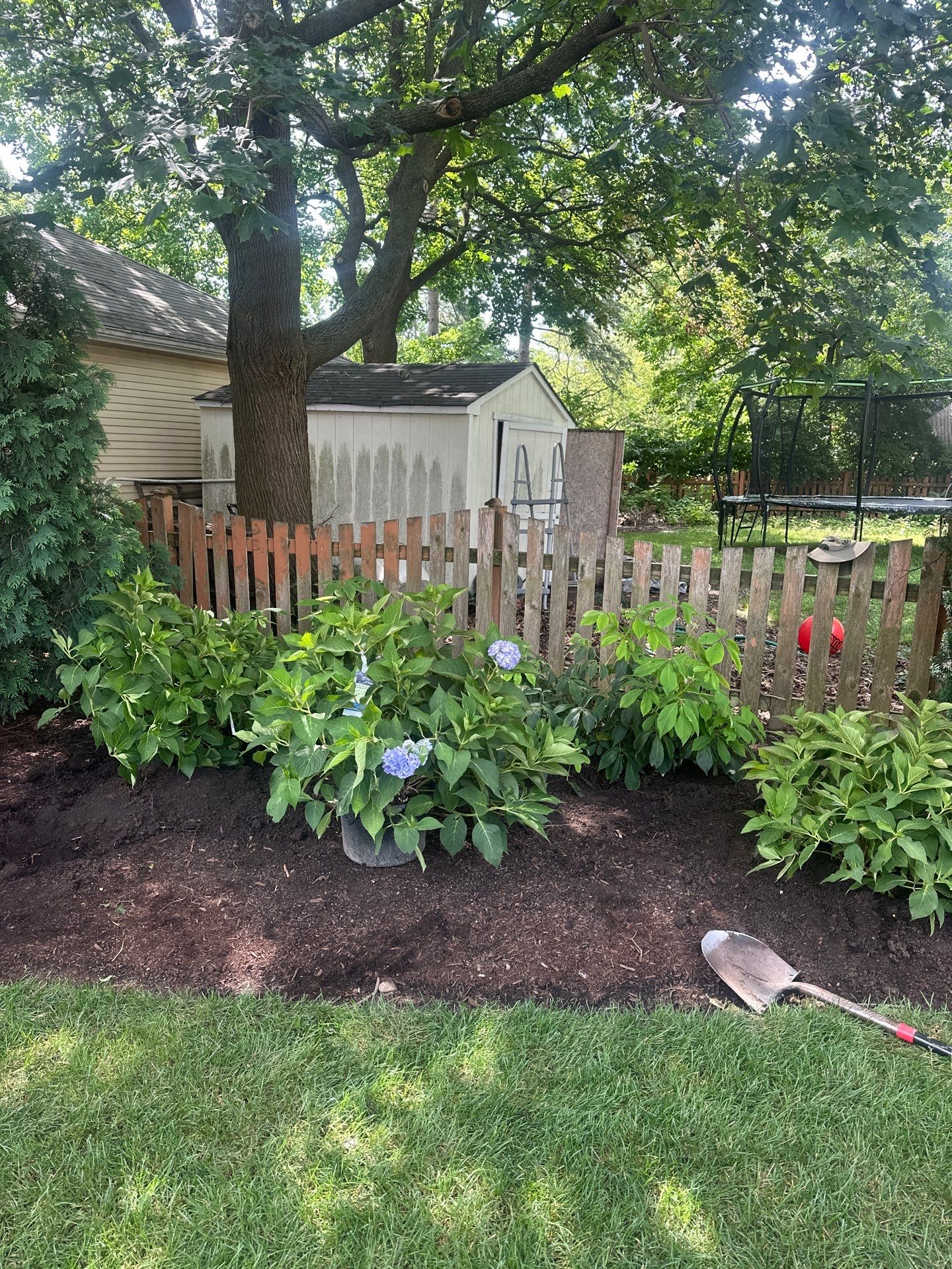 Scott M. - Arlington Heights, IL by A&N
