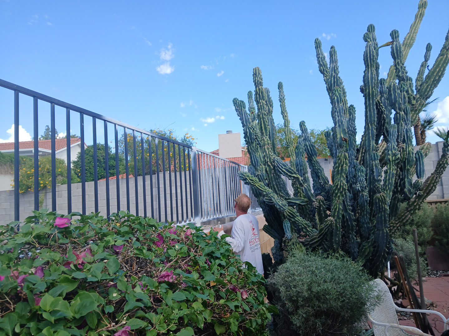 Exterior Painting - Phoenix by Crash of Rhinos Painting & Garage Floors