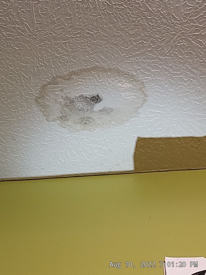 BRAND: ATLAS PINNACLE COLOR: PRISTINE SCOTCHGARD TAN DRIP EDGE: MUSKET BROWN by Eagle Eye Roofing