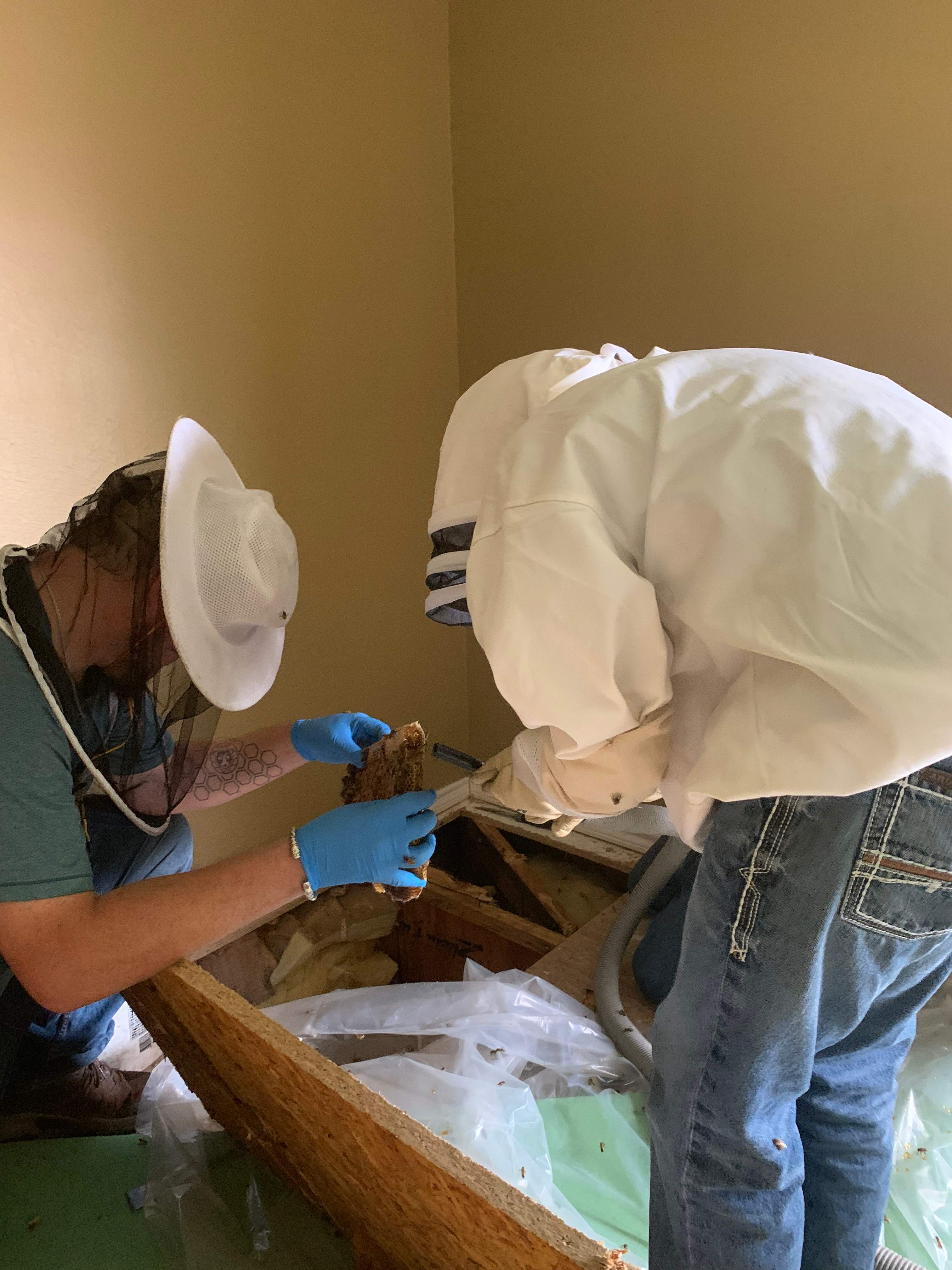 Beekeepers-to-be by Rockwall Honey Bee Company