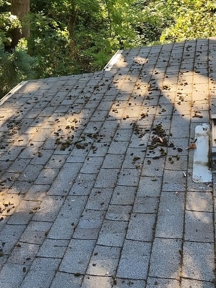 Roof Treatment using Biocide by Willamette Outdoor Wash LLC