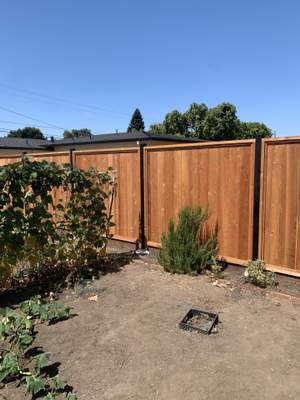 T&G With Steel Posts
