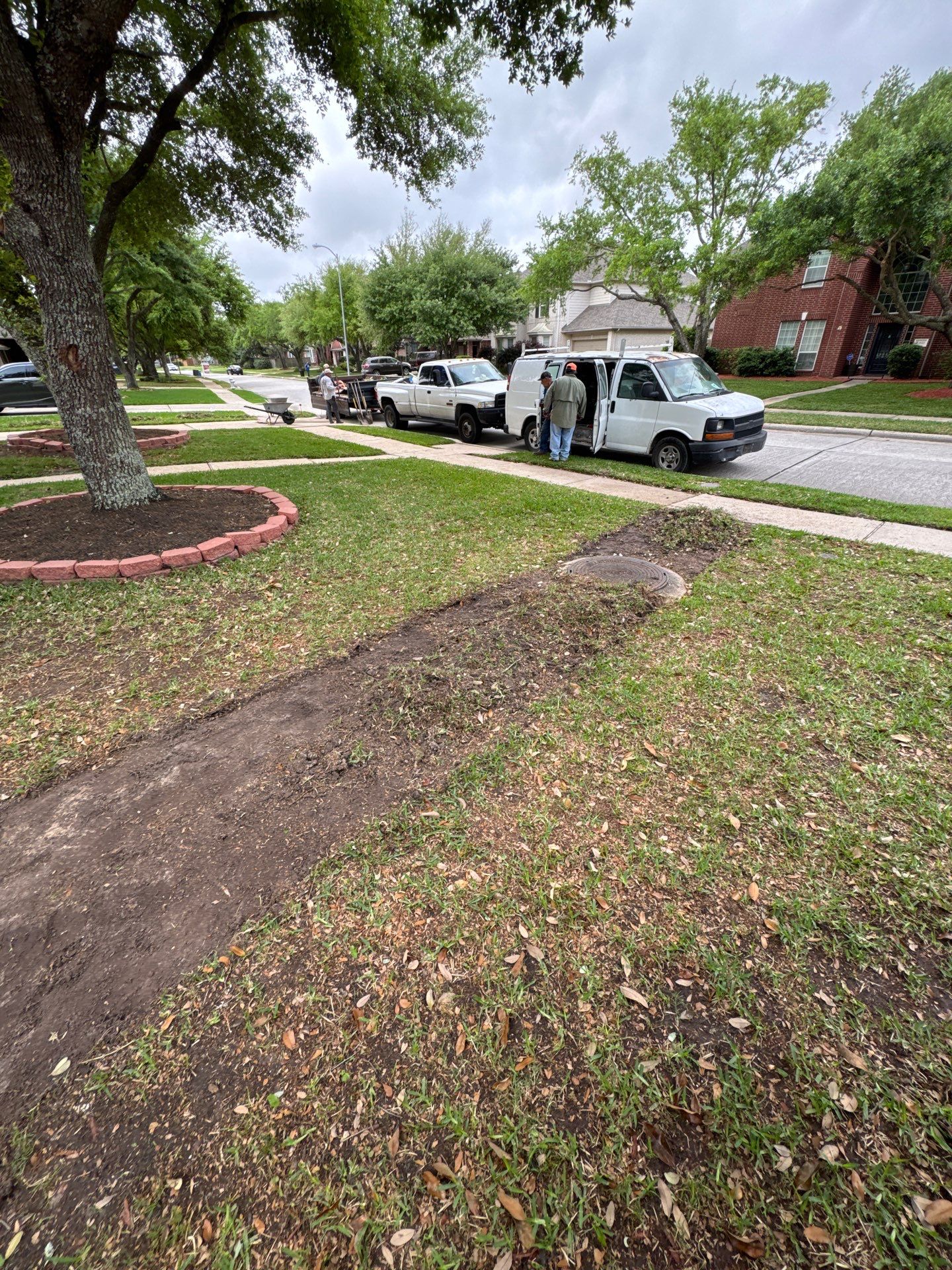 🌿 Mrs. Coleman’s Lawn & Drainage Restoration by Texas Urban Elements