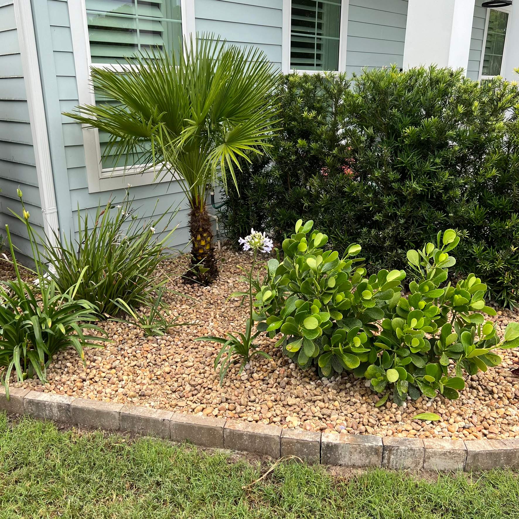 Rock & Agave Installation | Residential by ProGreen Services