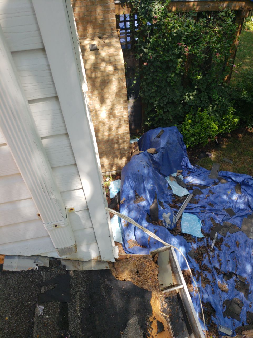 Alexandria: CertainTeed Landmark Pro Designer Shingles in Max Def Colonial Slate by RM Banning, Inc.