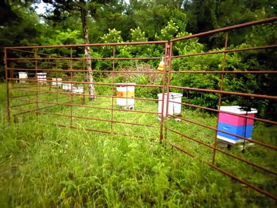 Rockwall County Ag. Exemption