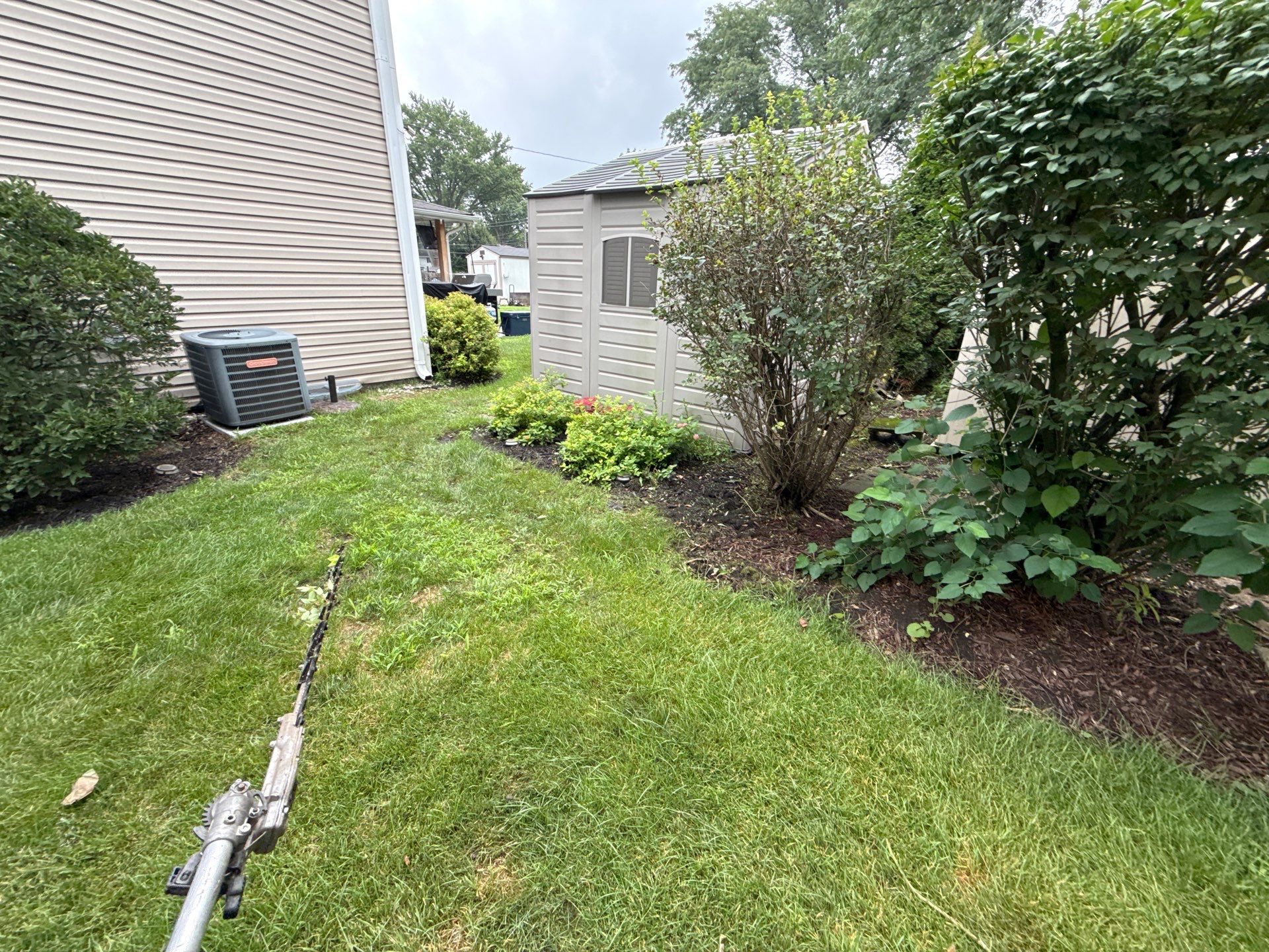 Renee K. - Mount Prospect, IL by A&N 