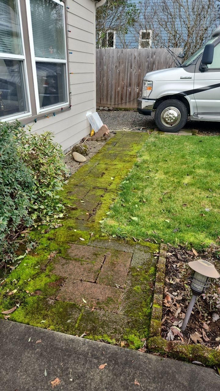 Concrete wash using Biocide by Willamette Outdoor Wash LLC