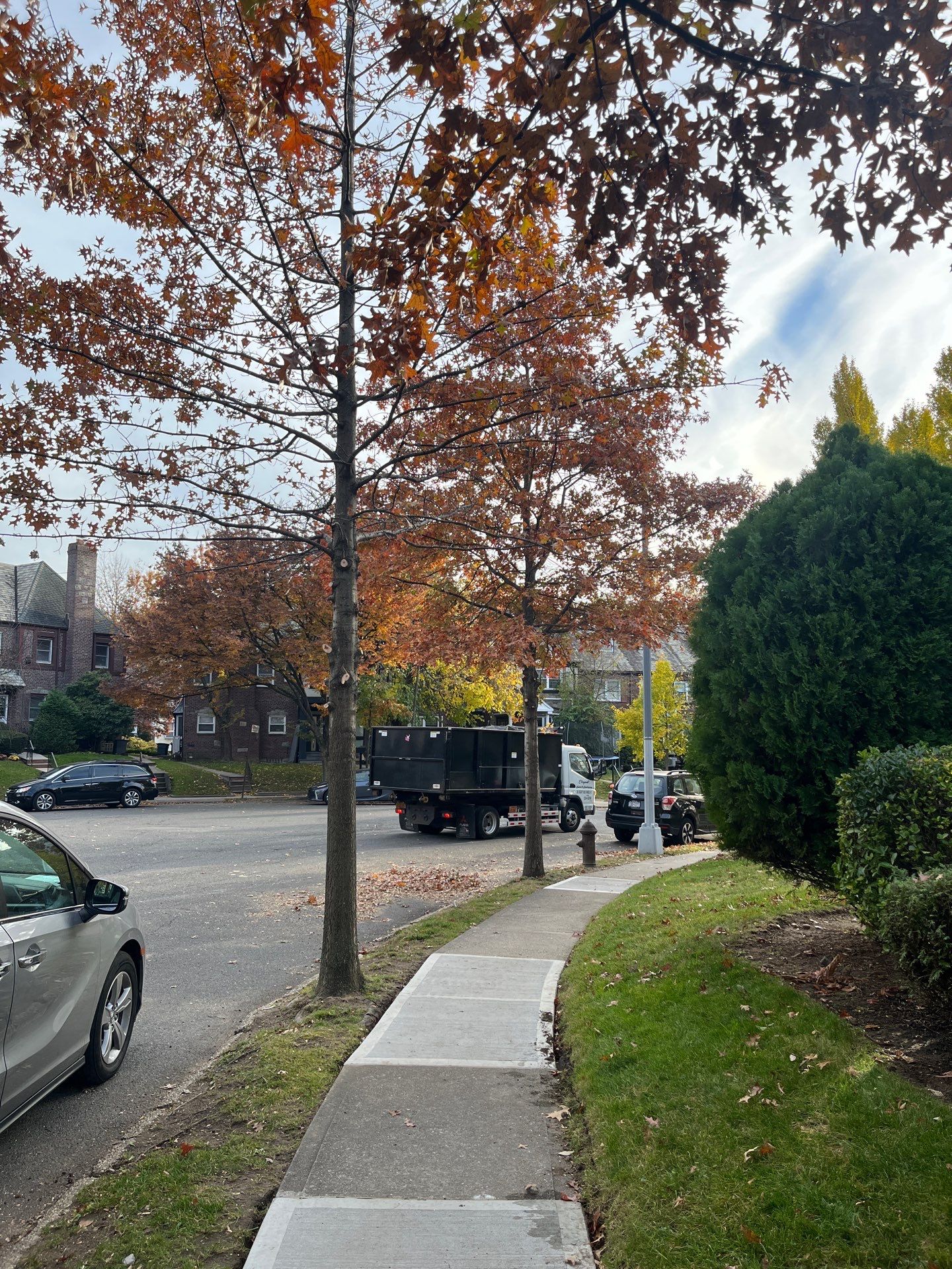 Landscape Design by elegant Lawns