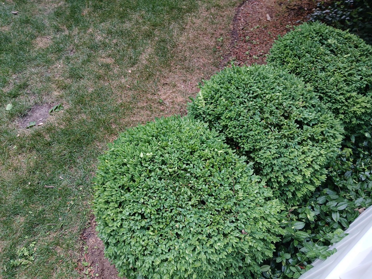 Michael I. - Glenview, IL by A&N 