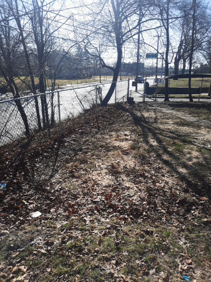 Tree Removal using Tree Removal by Mike Jones & Sons Tree Service LLC 