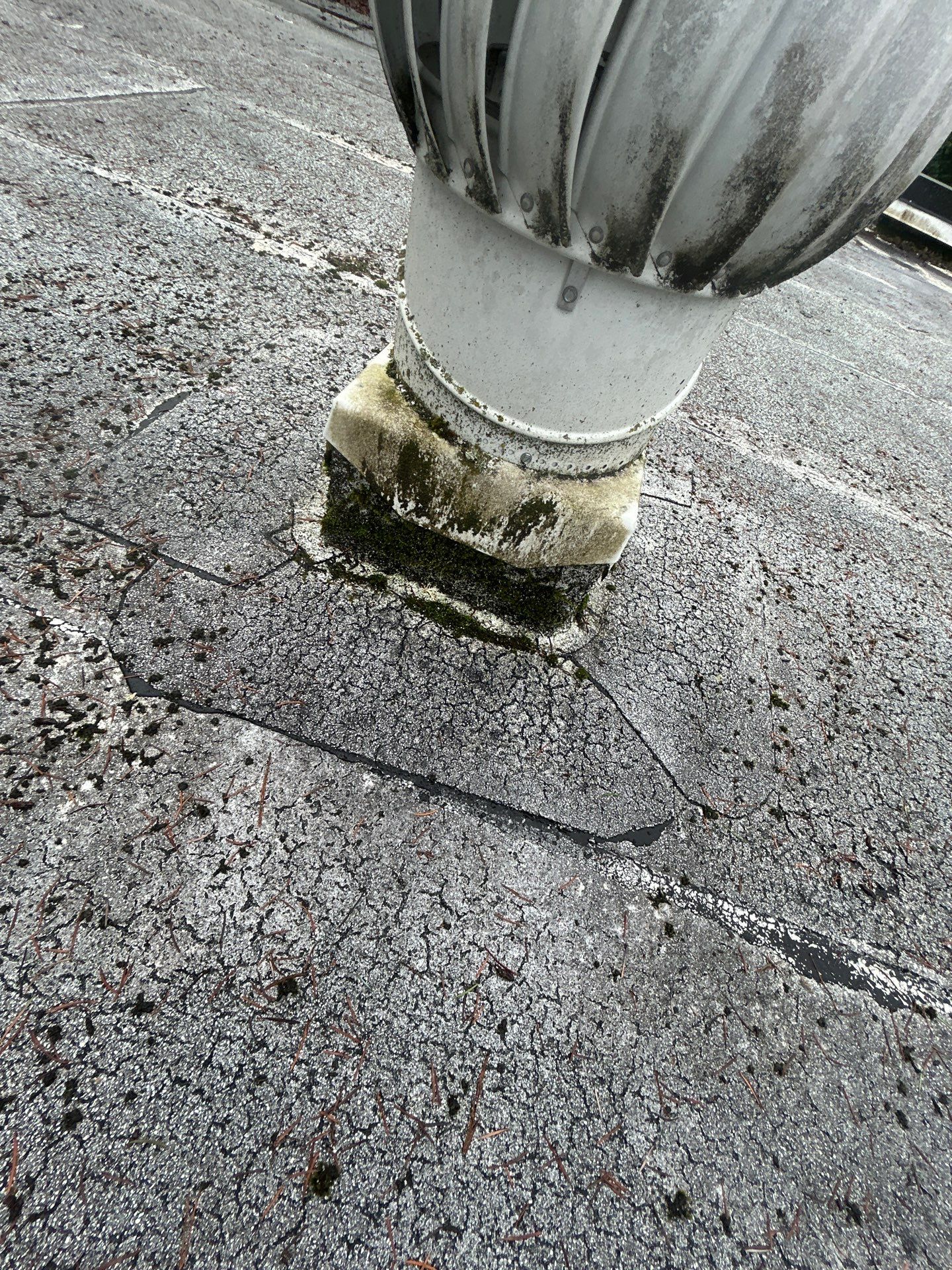 Project in Kirkland by Connolly Construction Company