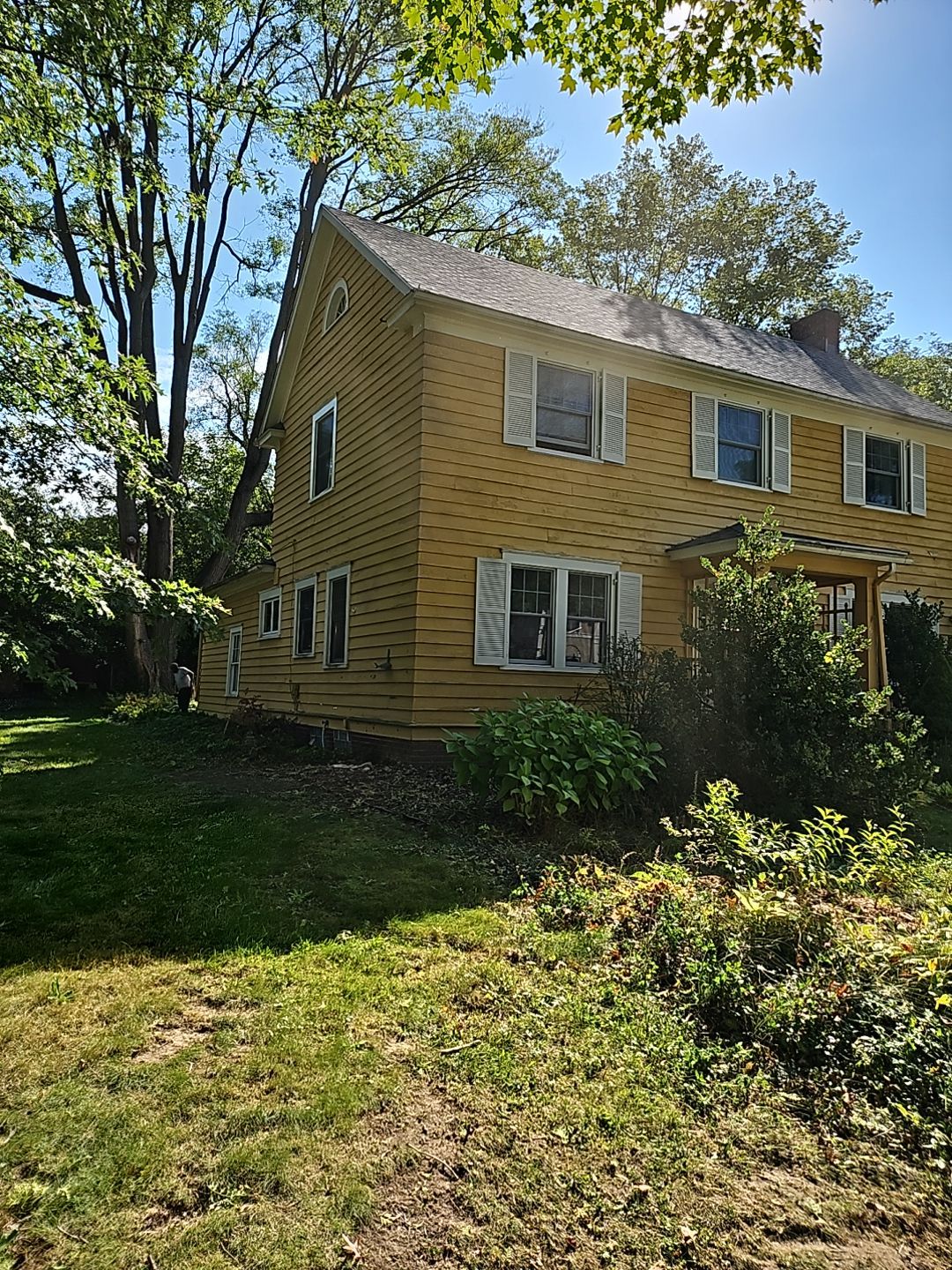 Tree Removal using Tree Removal by Mike Jones & Sons Tree Service LLC 