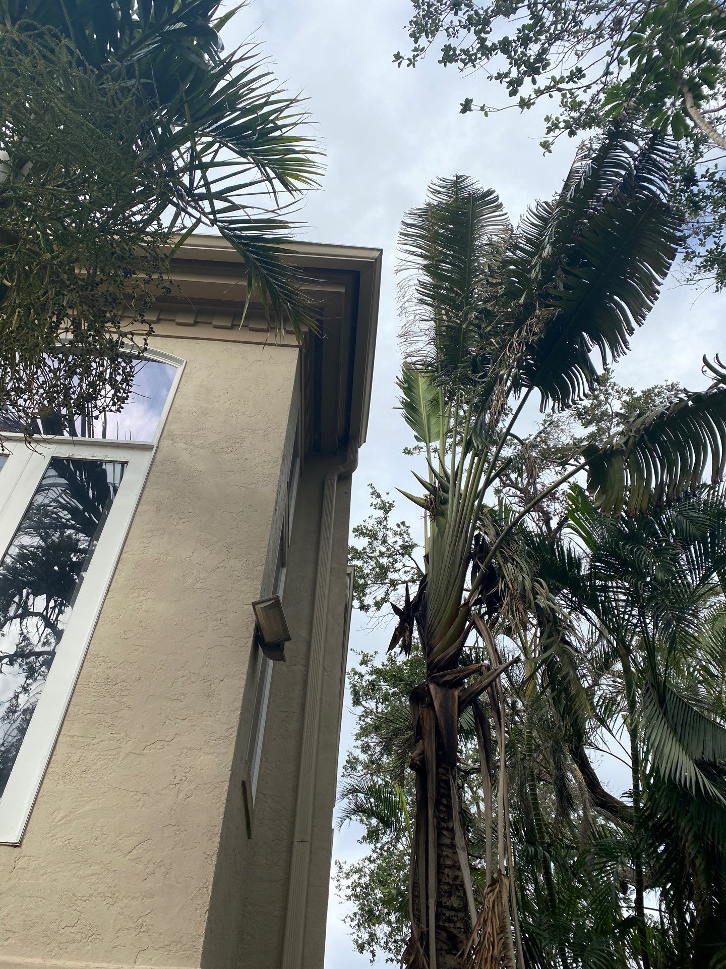 Seamless Gutters in Sarasota FL by Gutter Professors