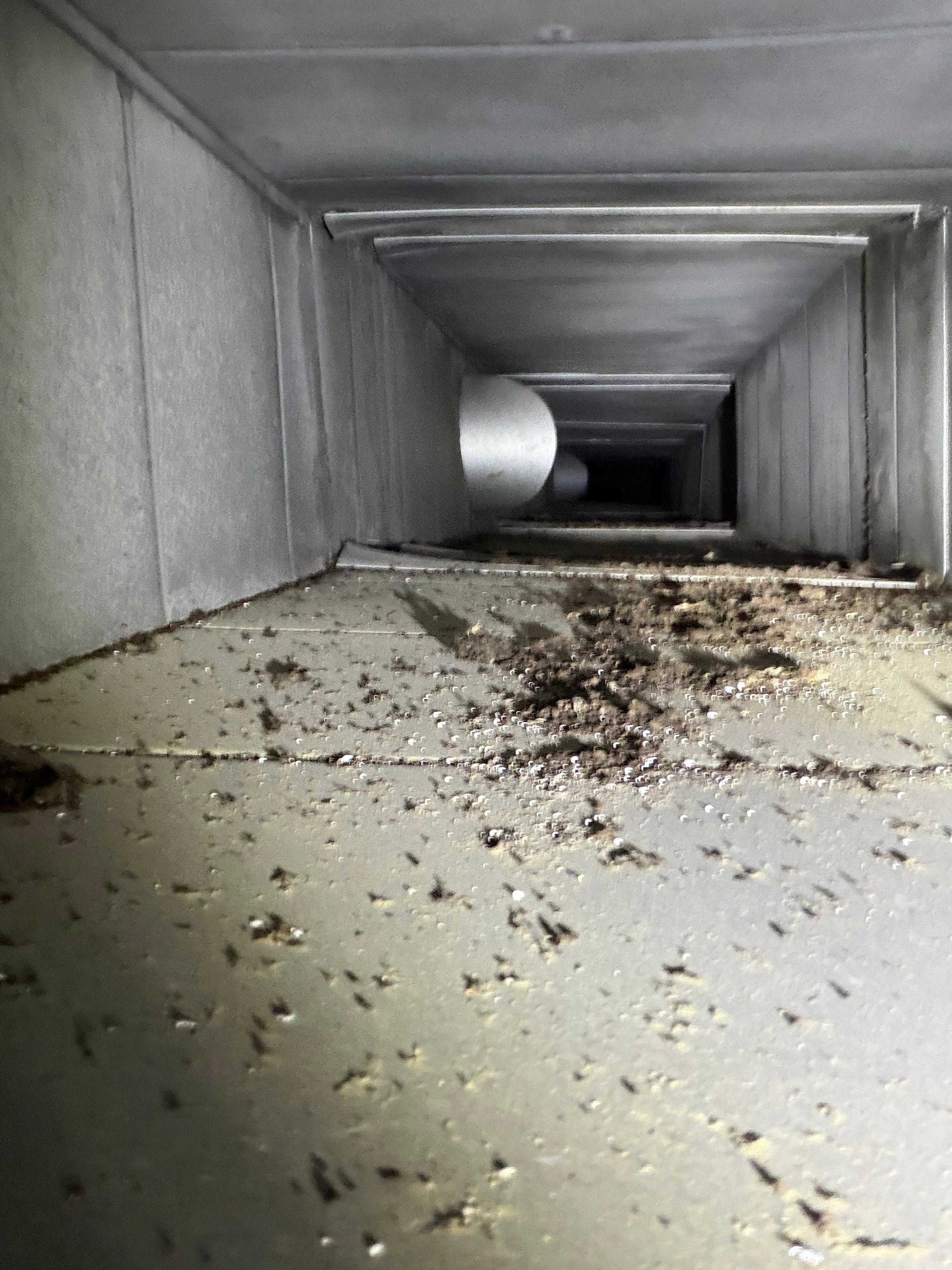 Bicicletta Peachtree City by Peach State Dryer Vents & Air Ducts