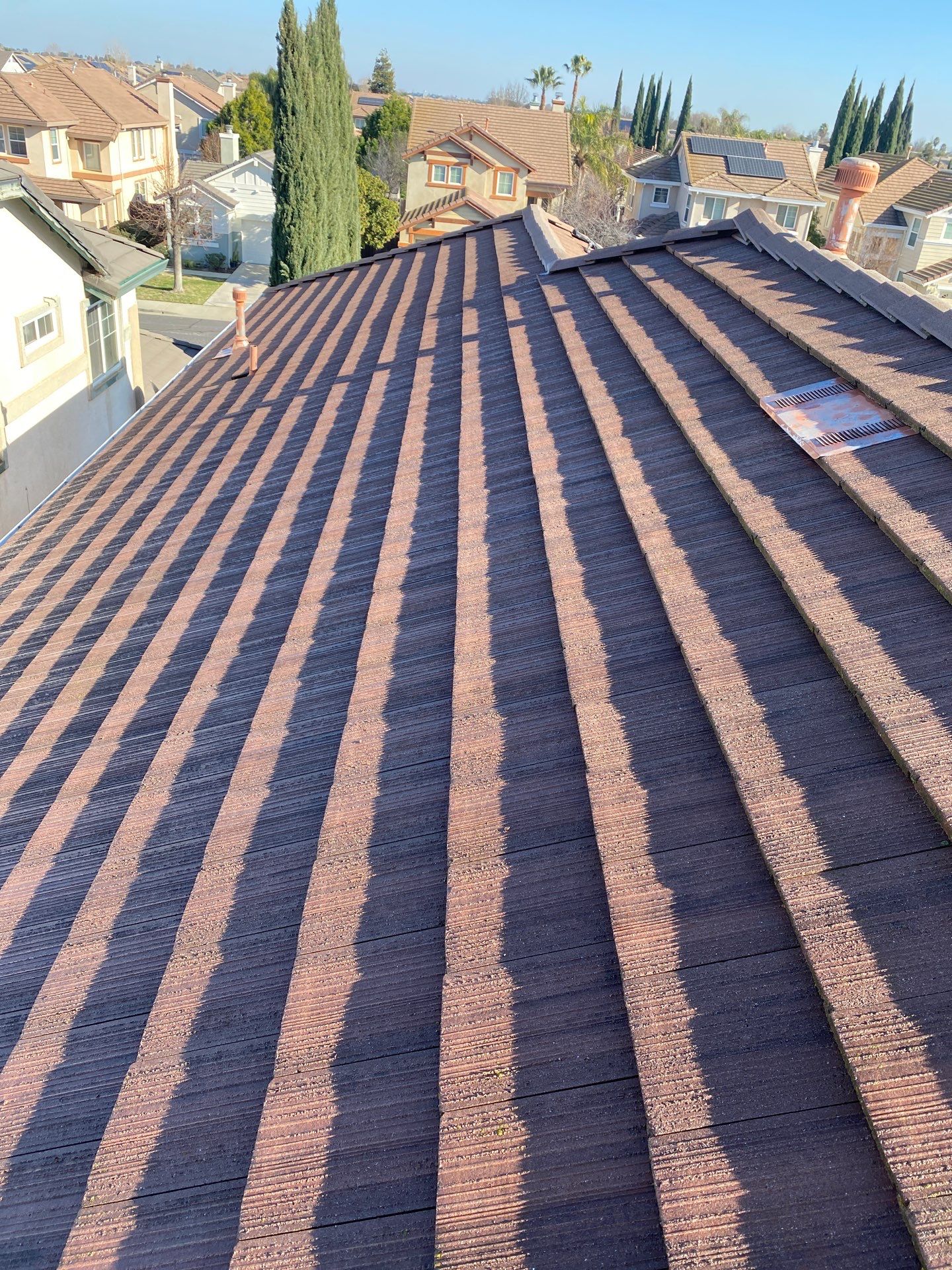 Moss Removal by Top Elevation