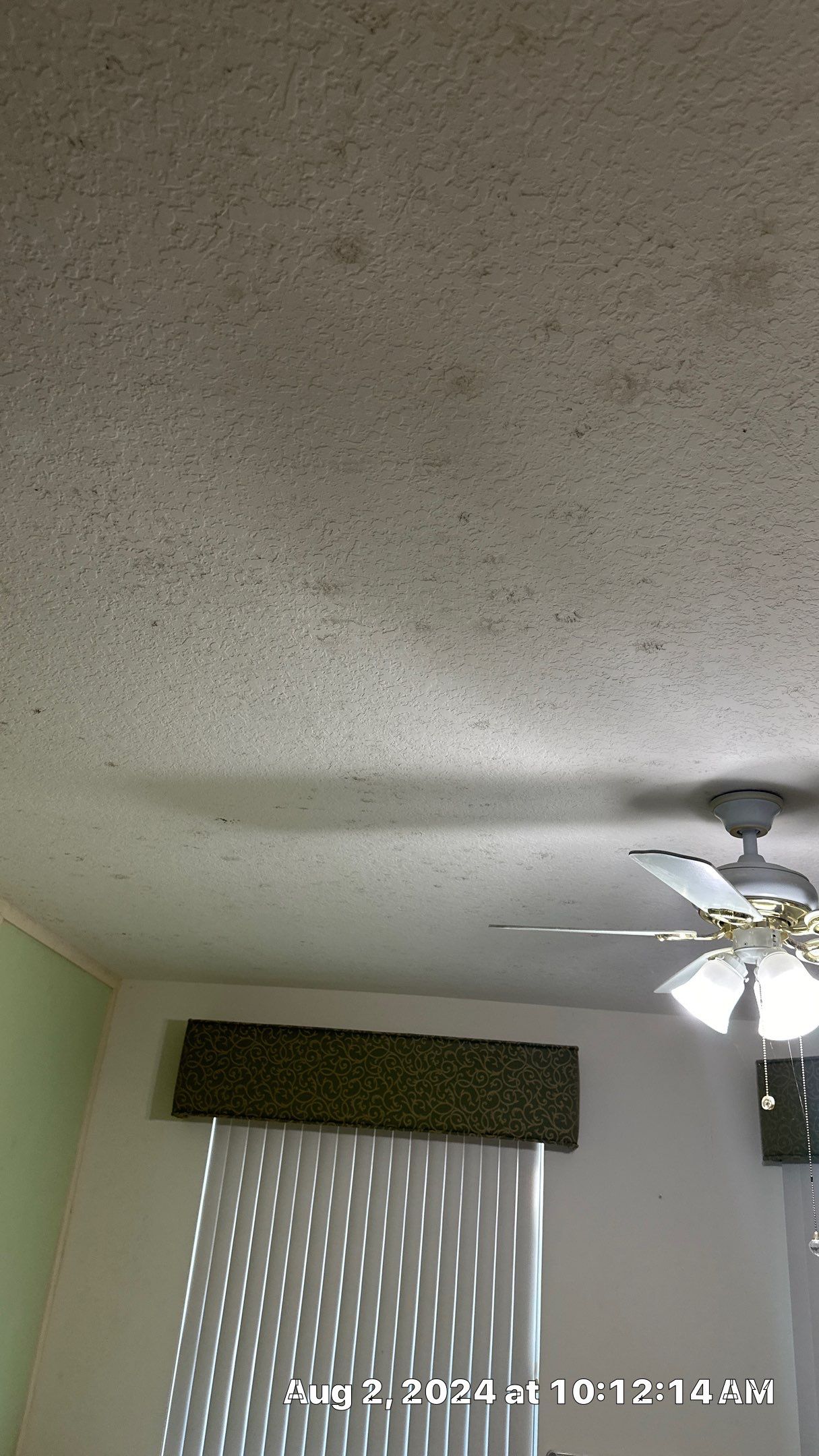Mold Assessment using IR Camera, Moisture Meter, Air Cassette samples and Tape lifts by Building performance Solutions LLC