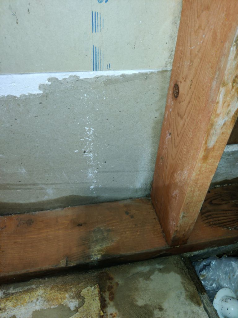 Mold Remediation in Bathroom by Accountable Home Services