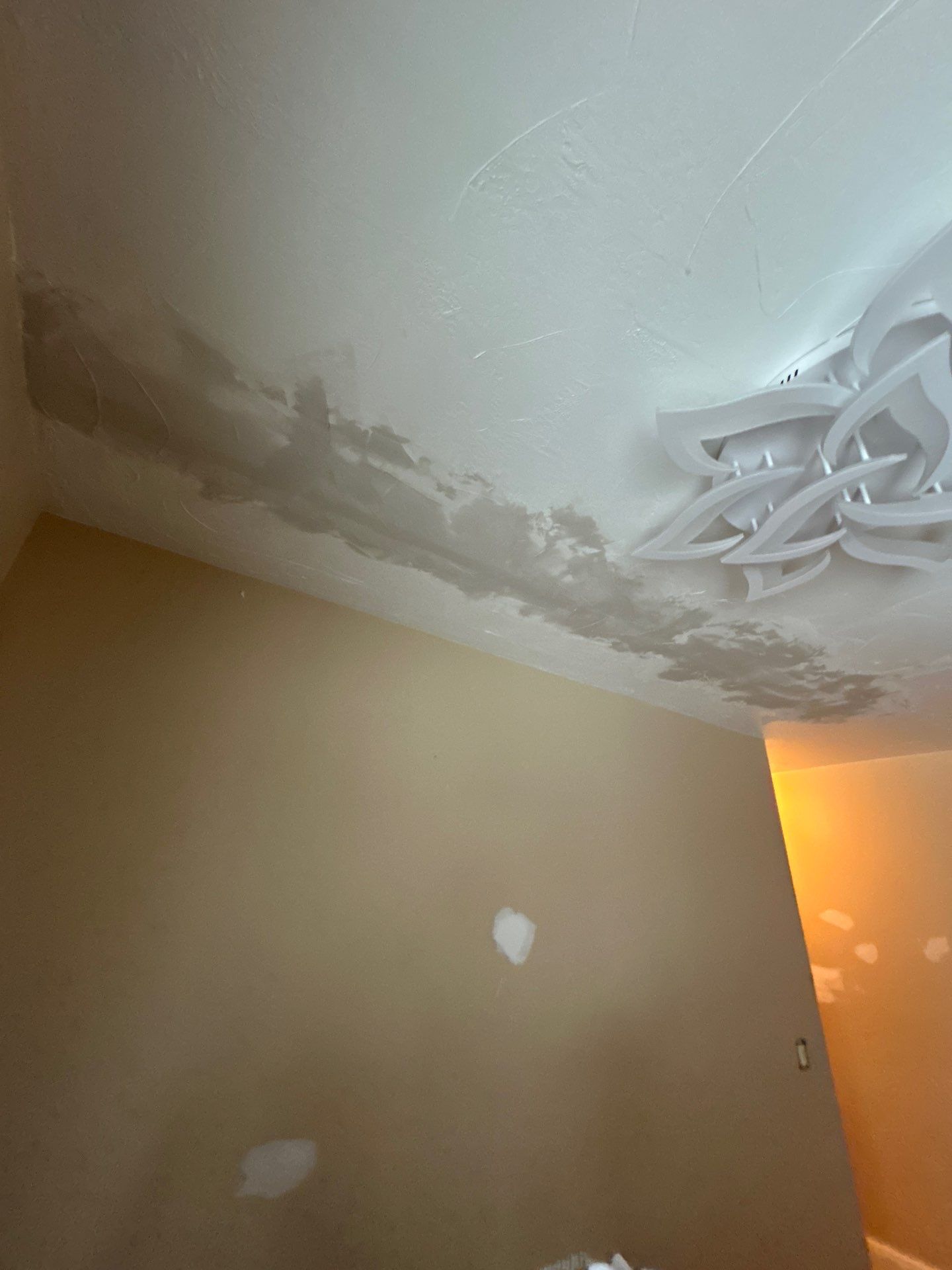 Interior repairs and repaint!! by Gordon Painting