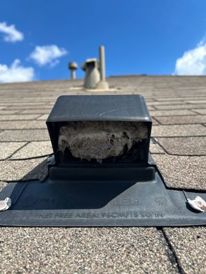 Project in Katy