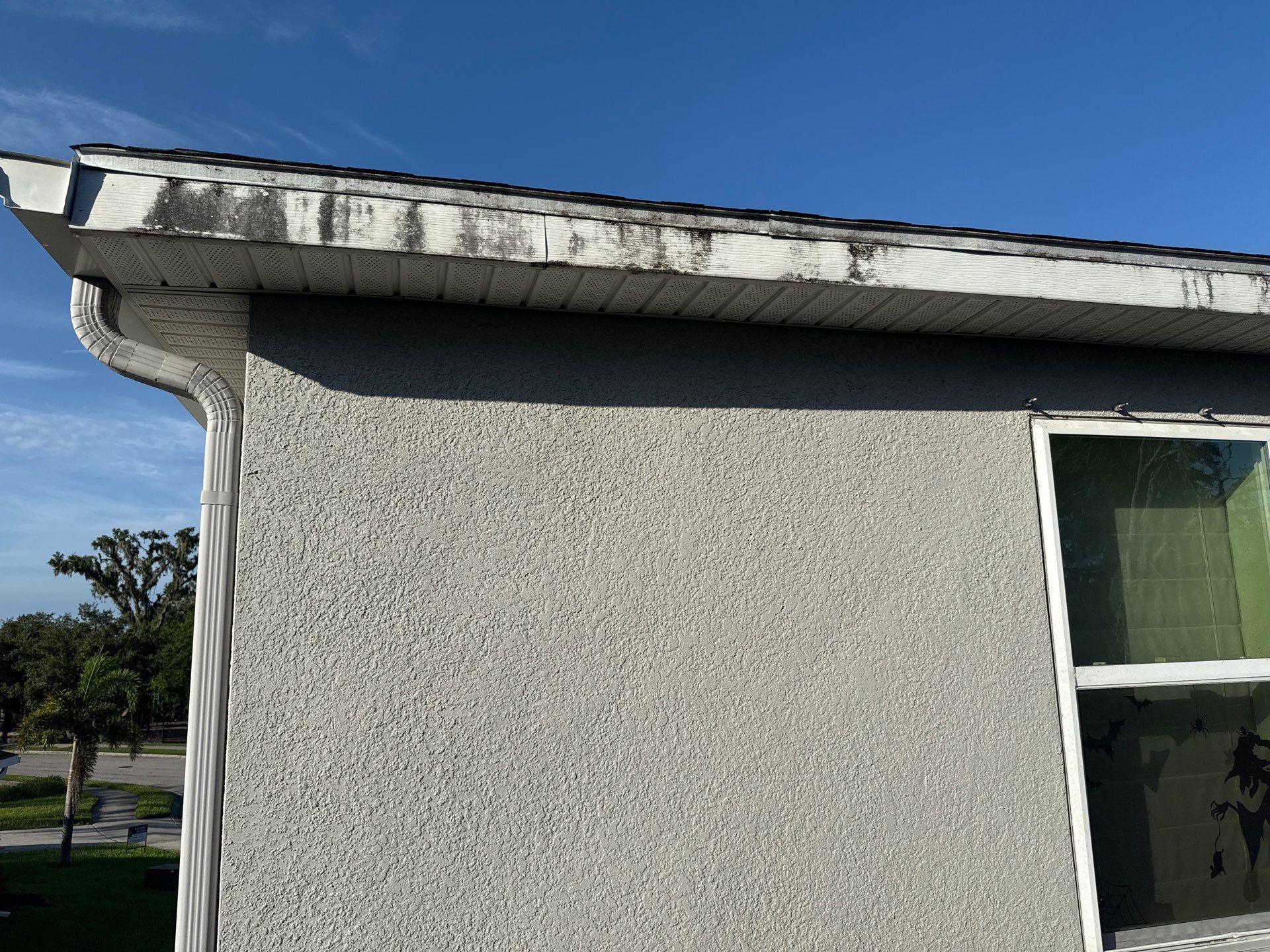 HOA-Required House Wash & Concrete Cleaning – Old Mill Preserve, Palmetto, FL by Sunshine AquaWash