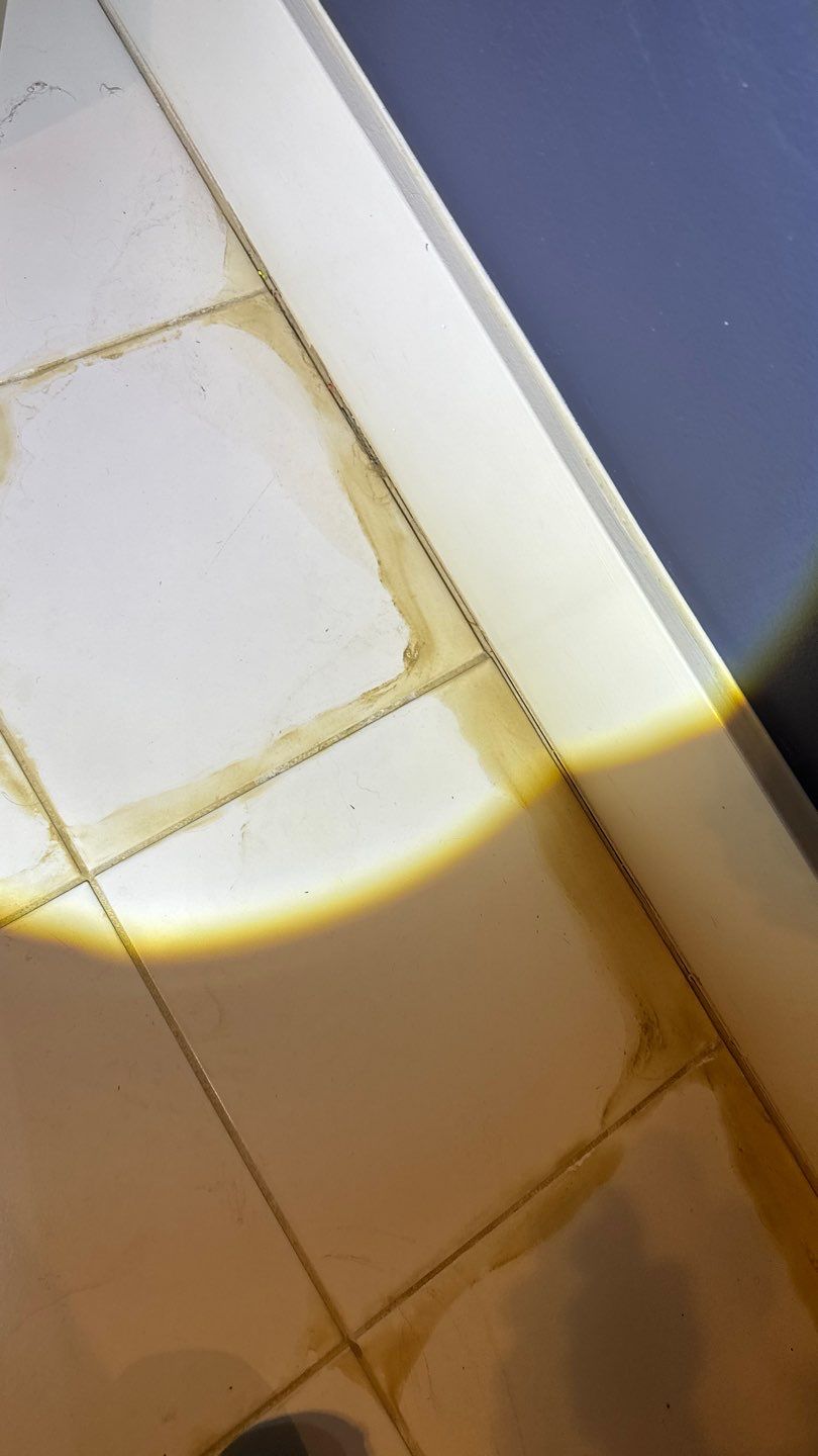 Mold Project in Englewood by Accountable Home Services