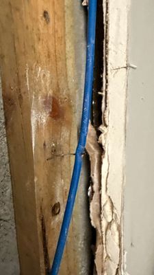 Mold Remediation — Fort Myers, FL