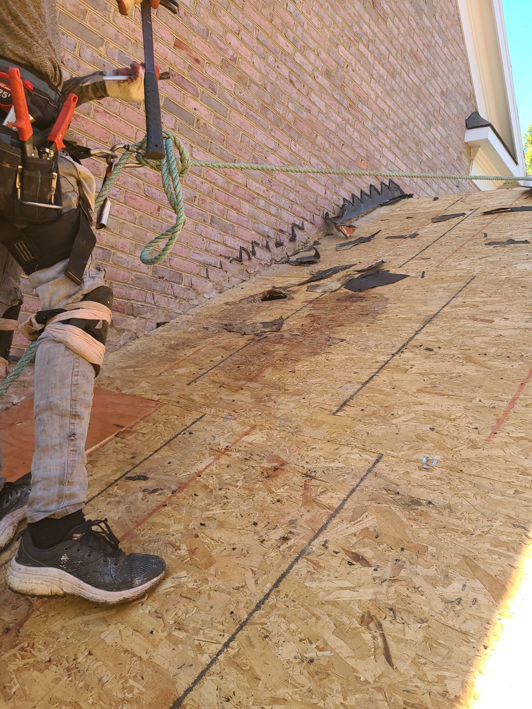 Alexandria: Residential Roof Replacement with CertainTeed Landmark Pro Designer Shingles in Max Def Moire Black by RM Banning, Inc.