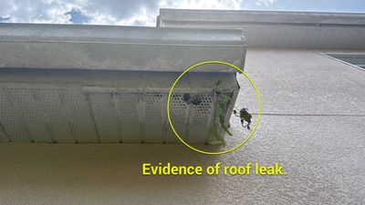 Residential Roofing Repair using Durabull Shingle System
