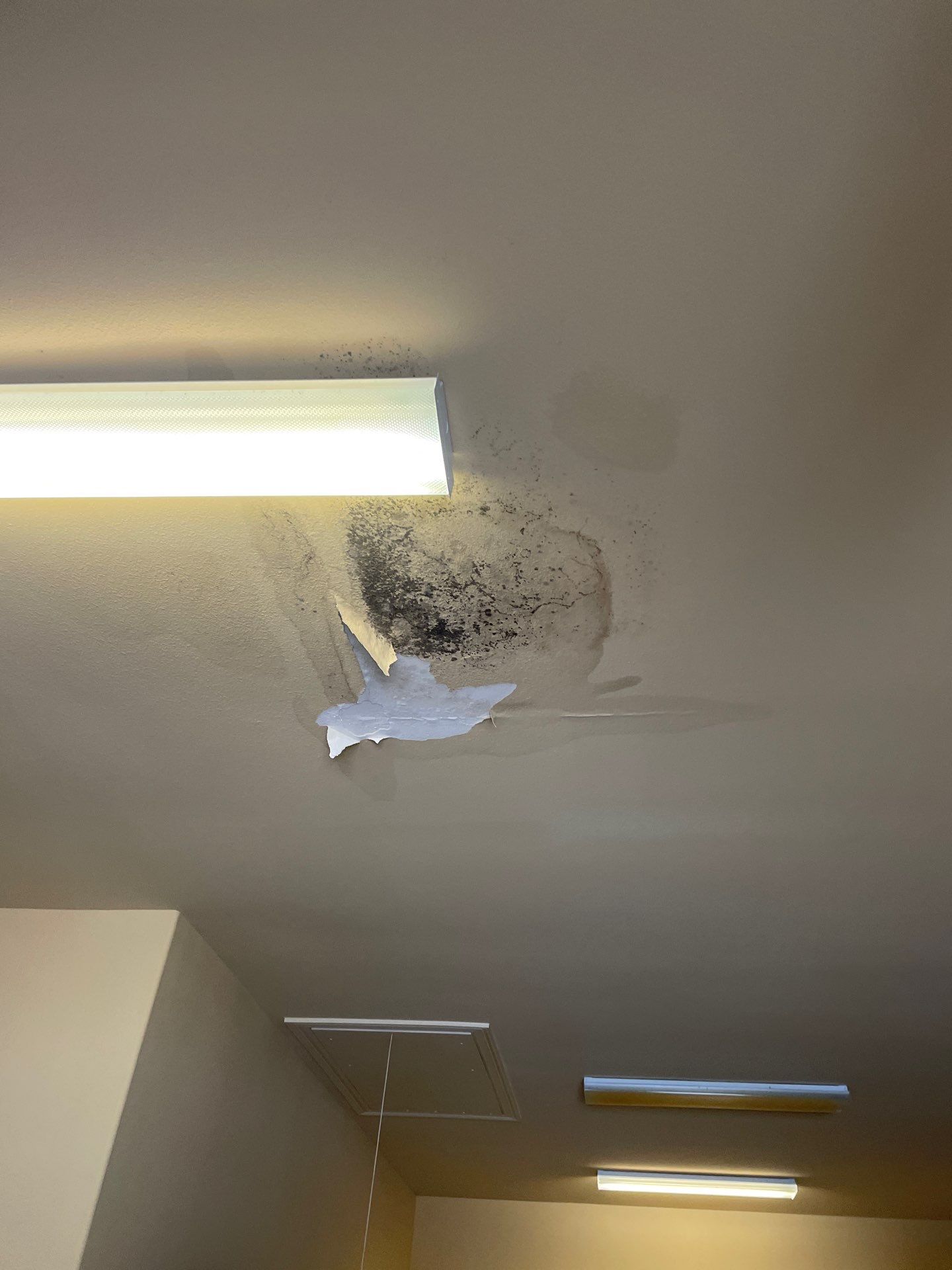 Tile Roof Repair by Roof Repair Company