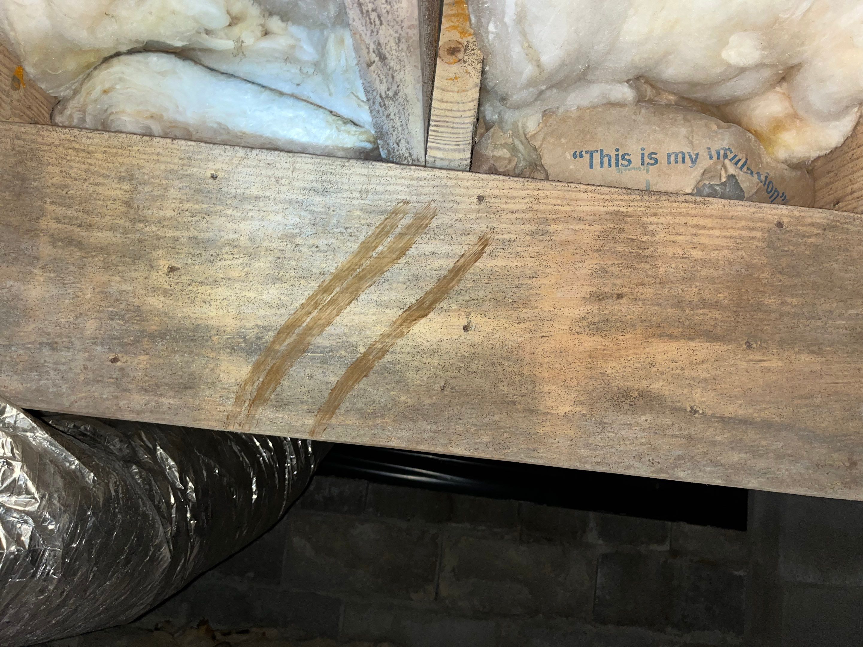 Impact Choice Encapsulation with French Drain, Mold Removal, and Crawlspace Door by Impact Crawlspace