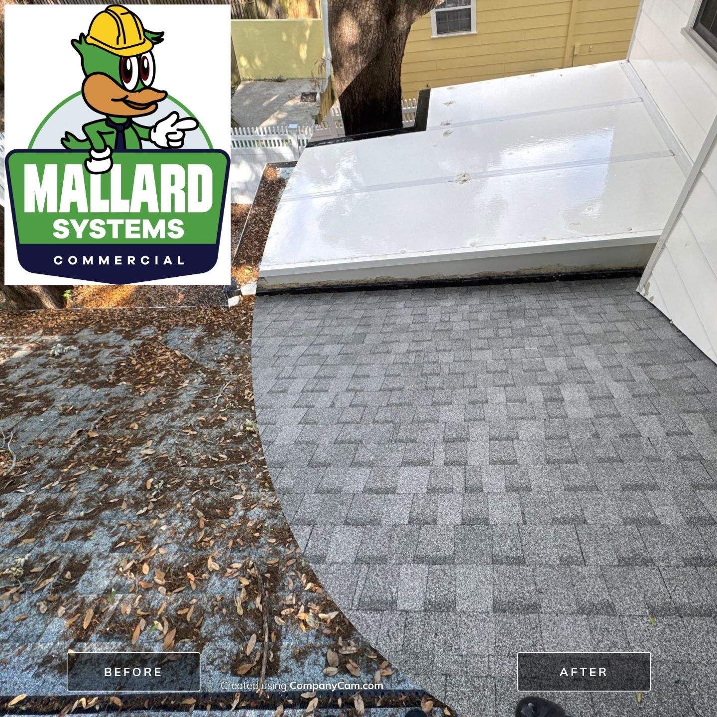 Shingle Roof Debris Removal and Cleaning by Mallard Systems