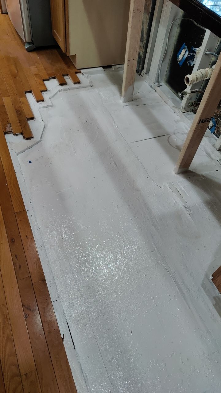 Mold Damage by Accountable Home Services