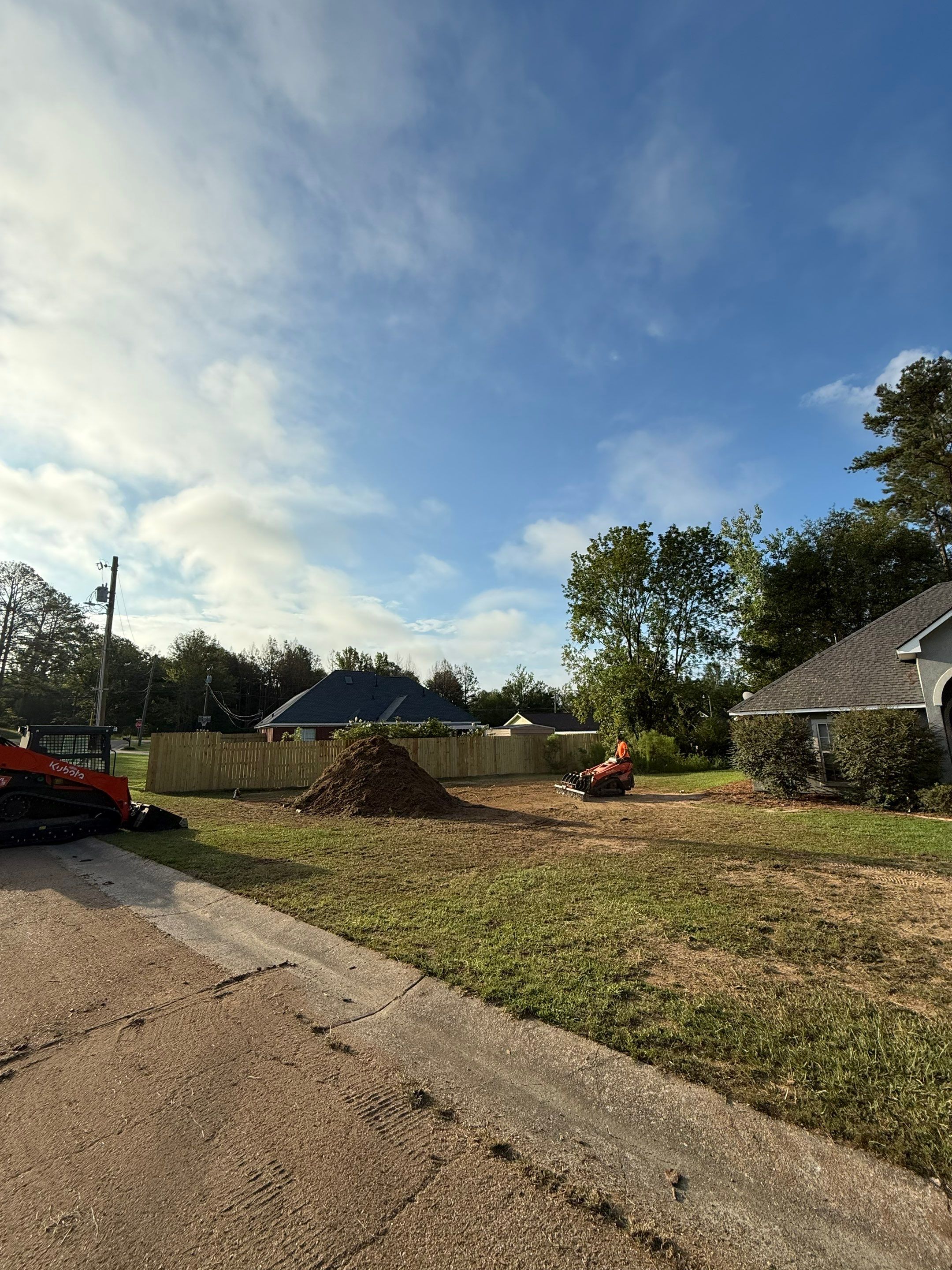 Pine Tree Removal by American Arbor
