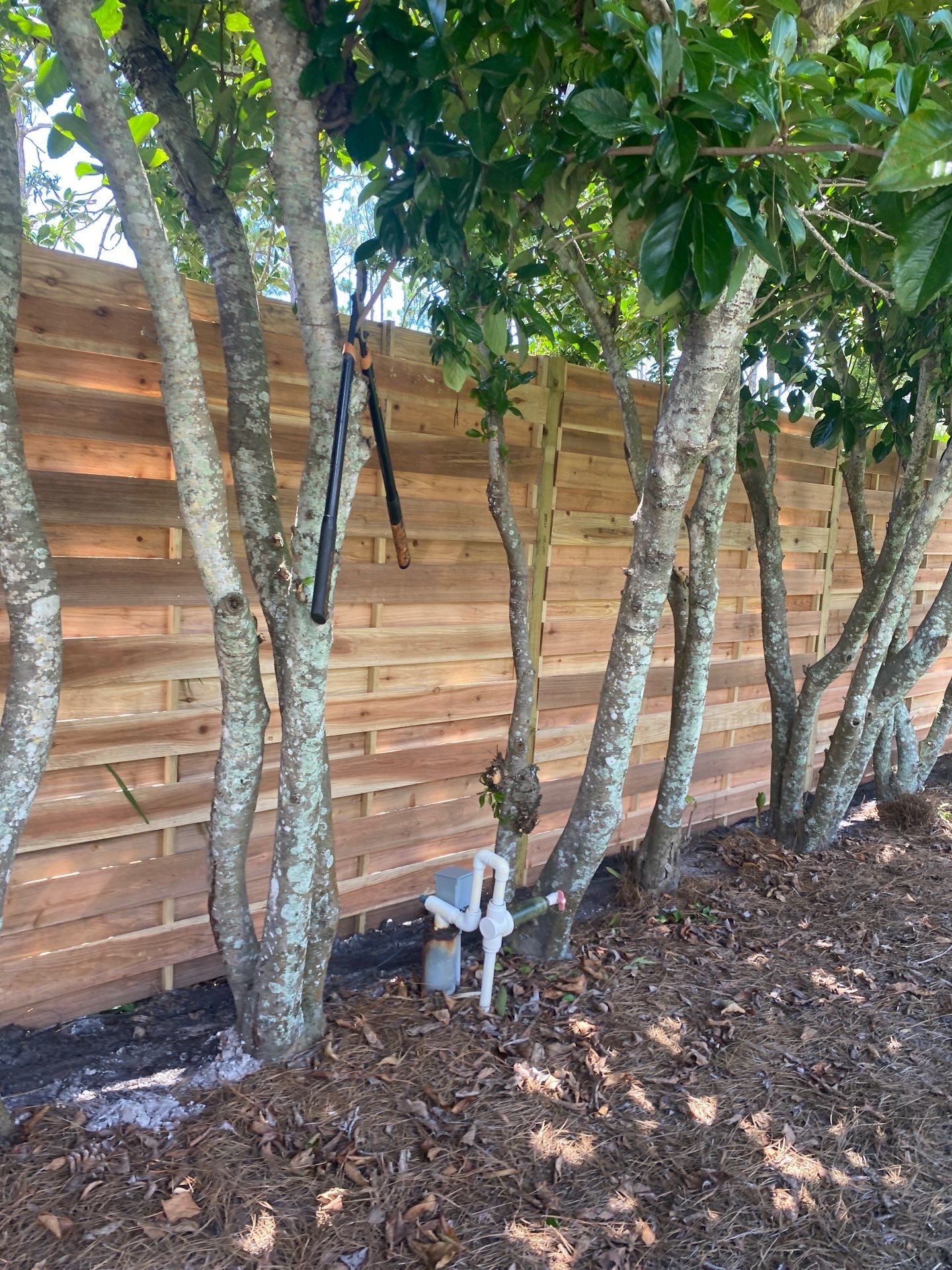 1657 Bayshore Dr  by H&Y Fence