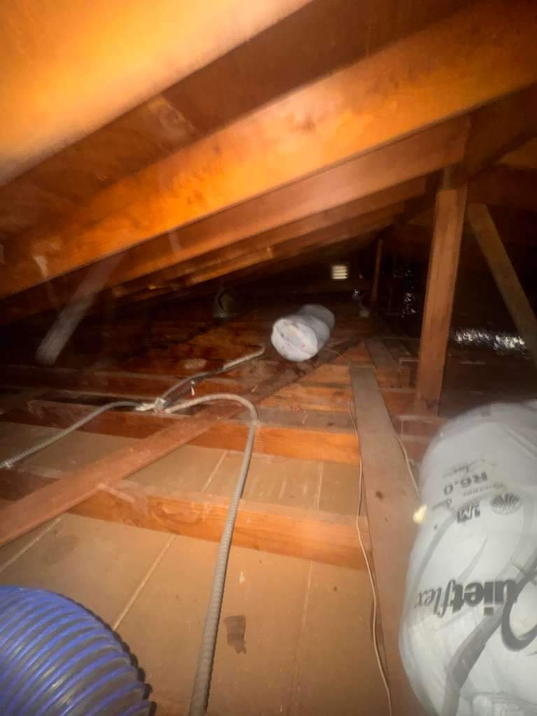 Project by Advanced Attic Solutions by Advanced Attic Solutions