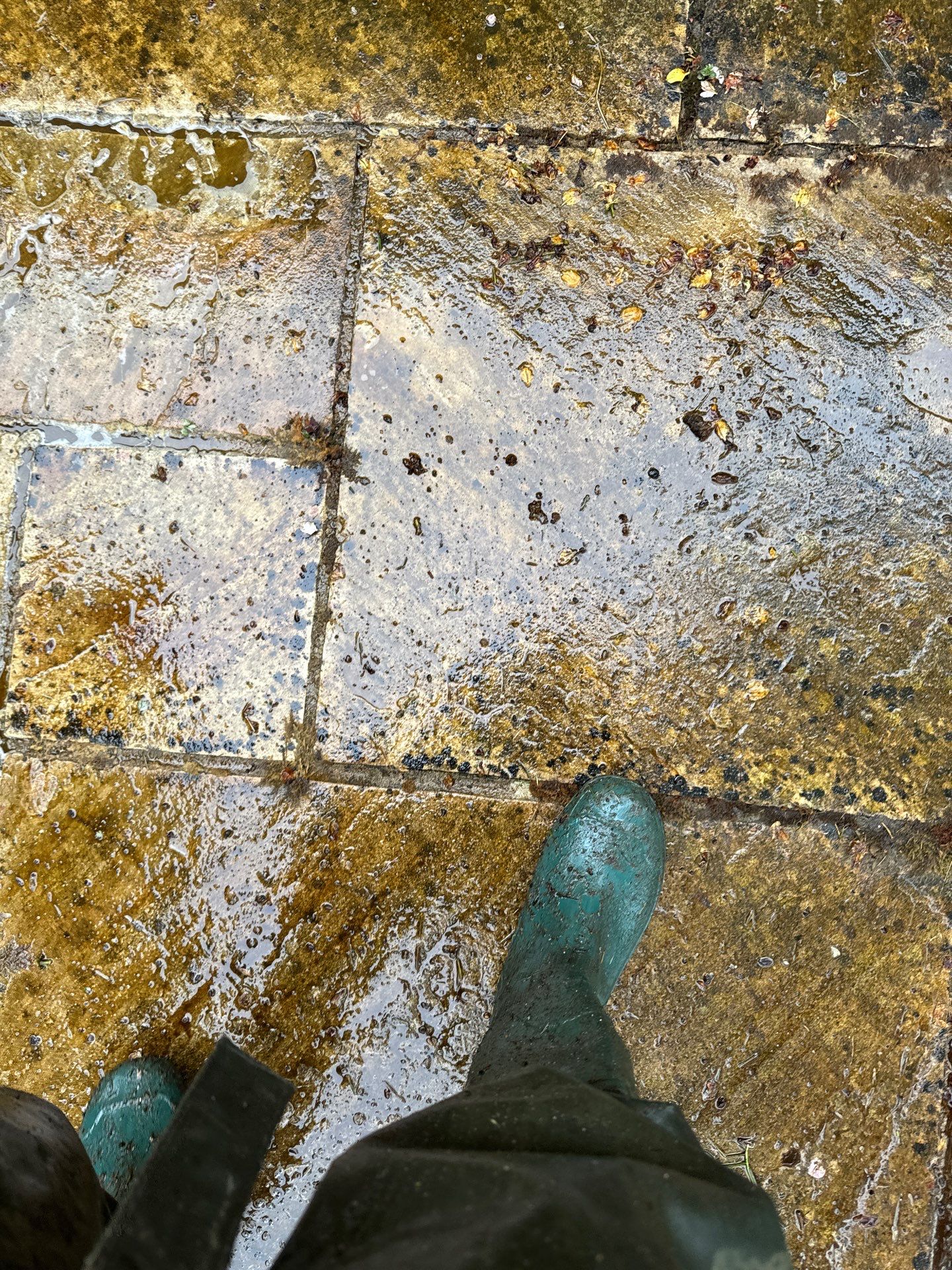 Exterior Clean - Roof - Patio - Driveway using honda 21 ltr/min by Ges Exterior Cleaning ltd