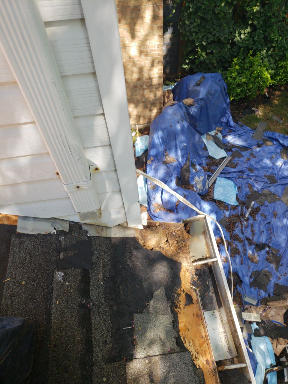 Alexandria: CertainTeed Landmark Pro Designer Shingles in Max Def Colonial Slate by RM Banning, Inc.