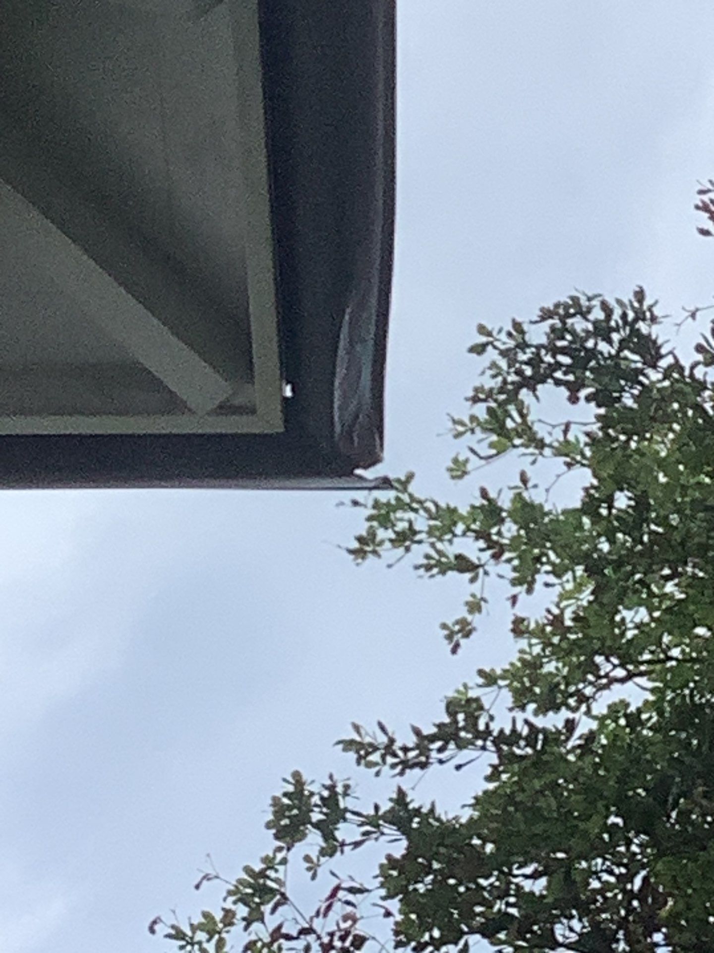 Gutter Cleaning using gutter cleaning in Sarasota FL by Gutter Professors